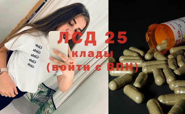 шишки Беломорск